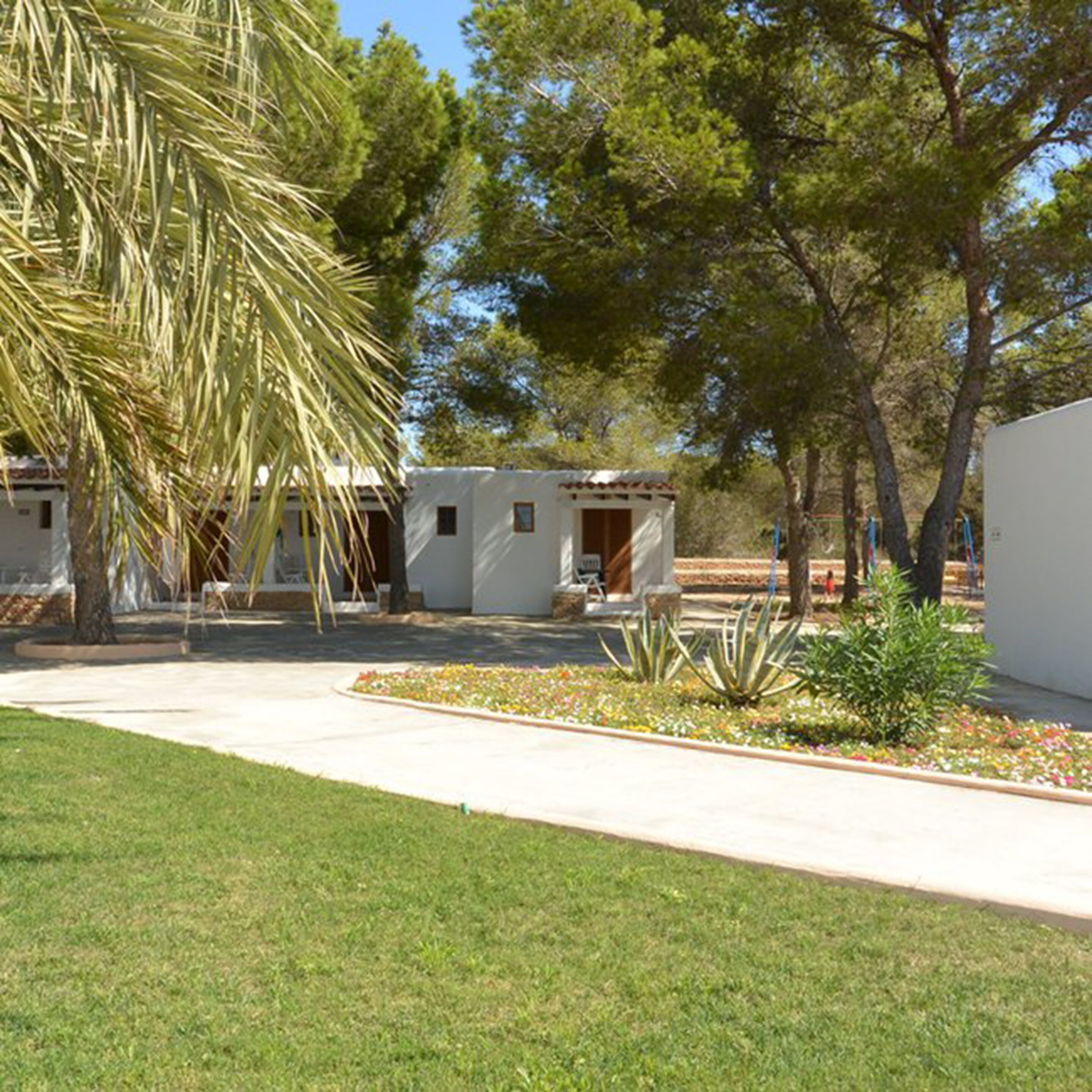 Un patio con una palmera, un pequeño edificio con una puerta y una pared blanca.