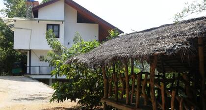 Birds Paradise Hotel