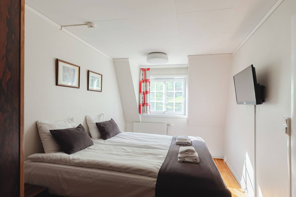 Une chambre à coucher avec un lit, une fenêtre avec des rideaux, un radiateur et un téléviseur fixé au mur.