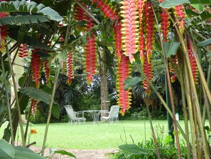 Garden view - Rondo Retreat Centre (Kakamega)