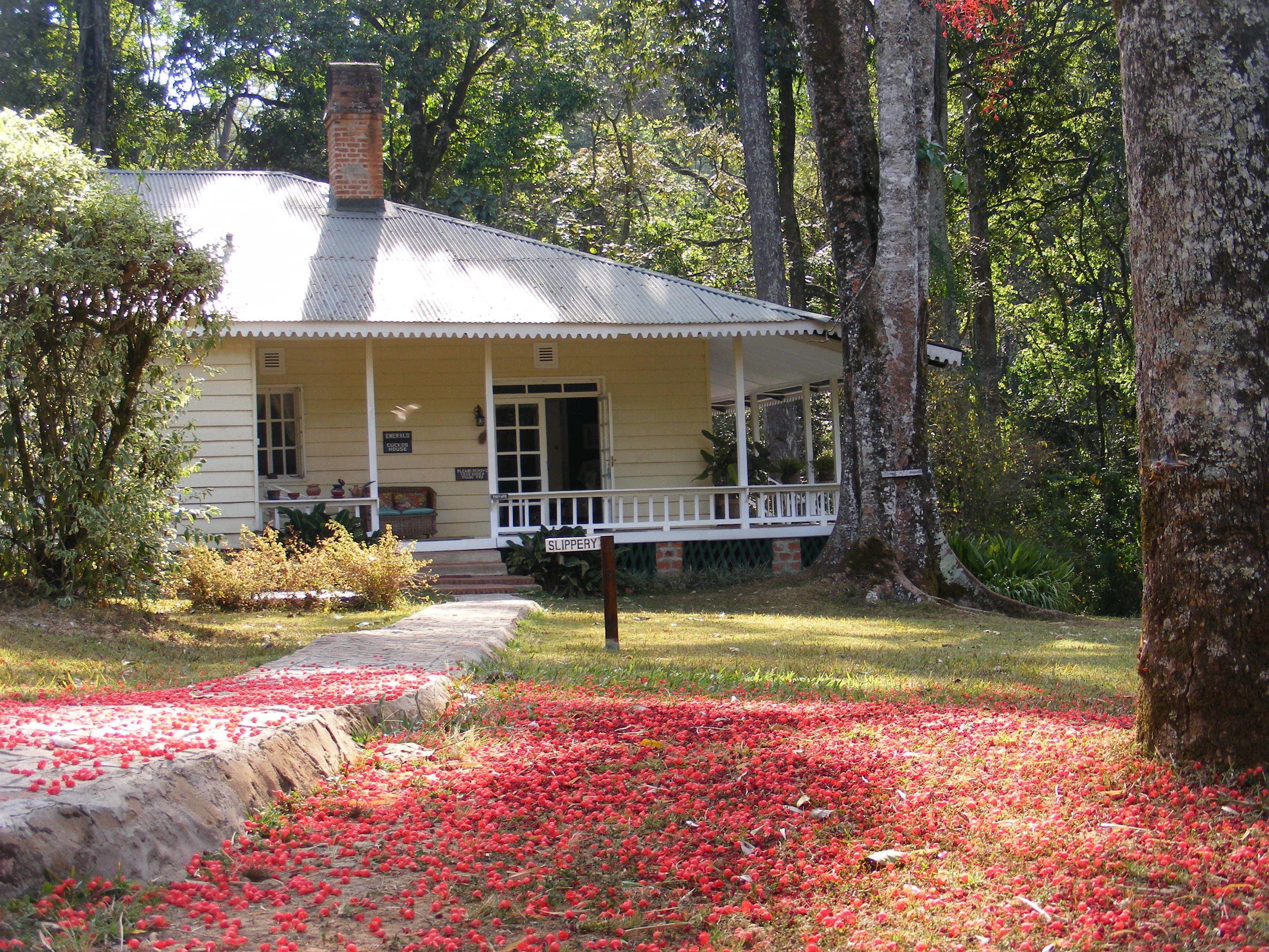 A house with a porch, surrounded by trees and a garden with red berries.