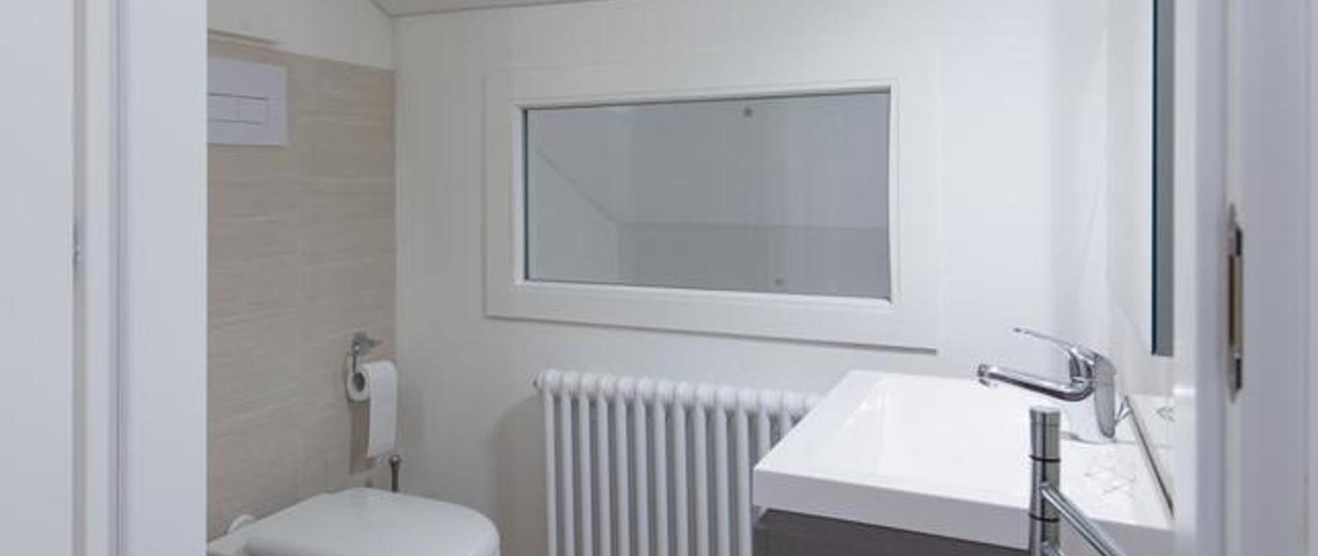 A bathroom with a toilet, a sink, a window, and a radiator.
