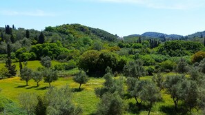 A lush landscape with rolling hills, dense greenery, and scattered trees. - Kapella Apartments (Corfu)