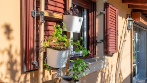 Un bâtiment doté de nombreuses fenêtres, dont certaines sont équipées de volets, et une série de plantes en pot disposées sur une structure en bois.