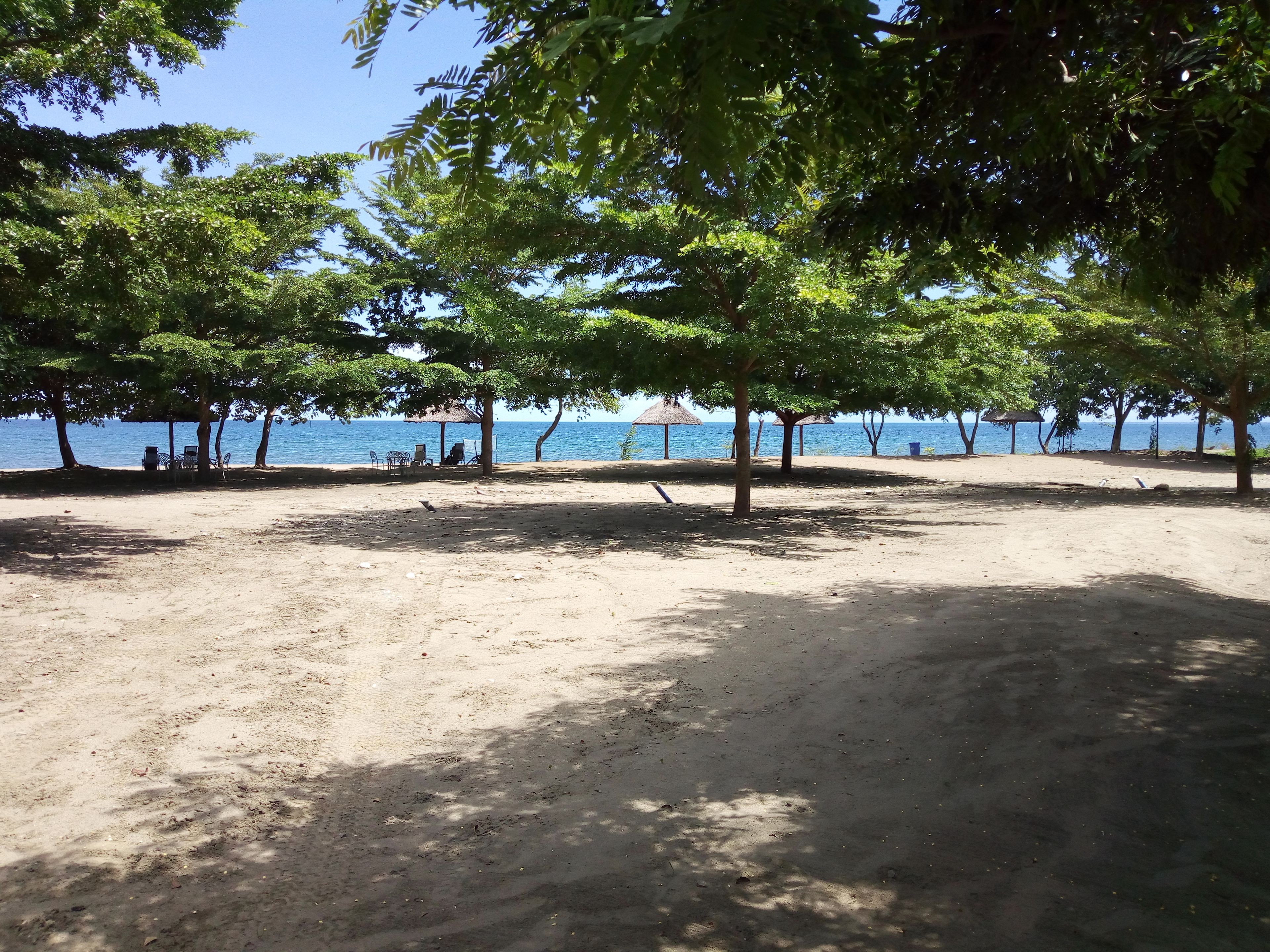 Une plage bordée d’arbres qui offrent de l’ombre, une zone sablonneuse et une vue sur la mer.