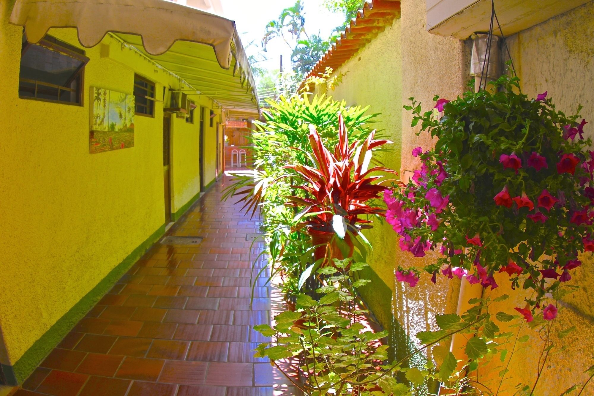 Entrada interior
