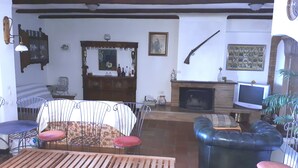 Un salon avec une cheminée, un téléviseur et divers objets de décoration.