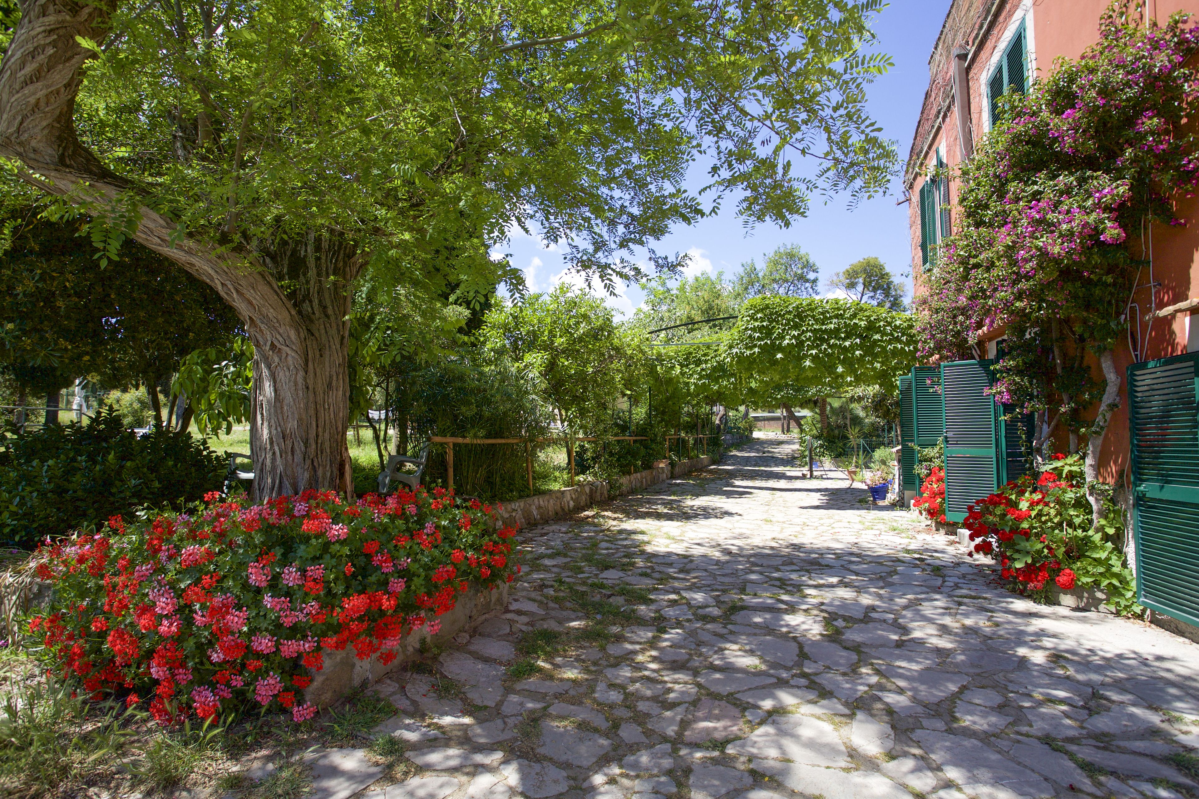 บริเวณภายนอก