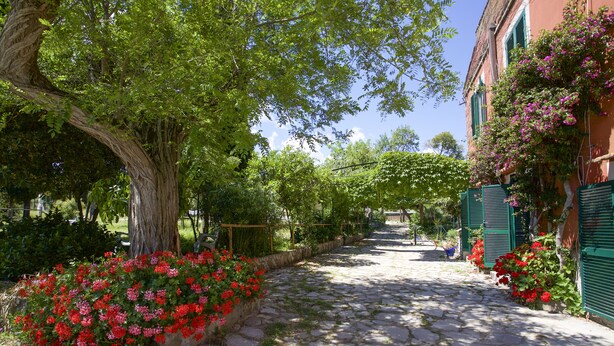 Un sentier pavé, bordé d’une végétation luxuriante et de plantes en fleurs, mène à un bâtiment aux volets verts et à la façade en pierre.