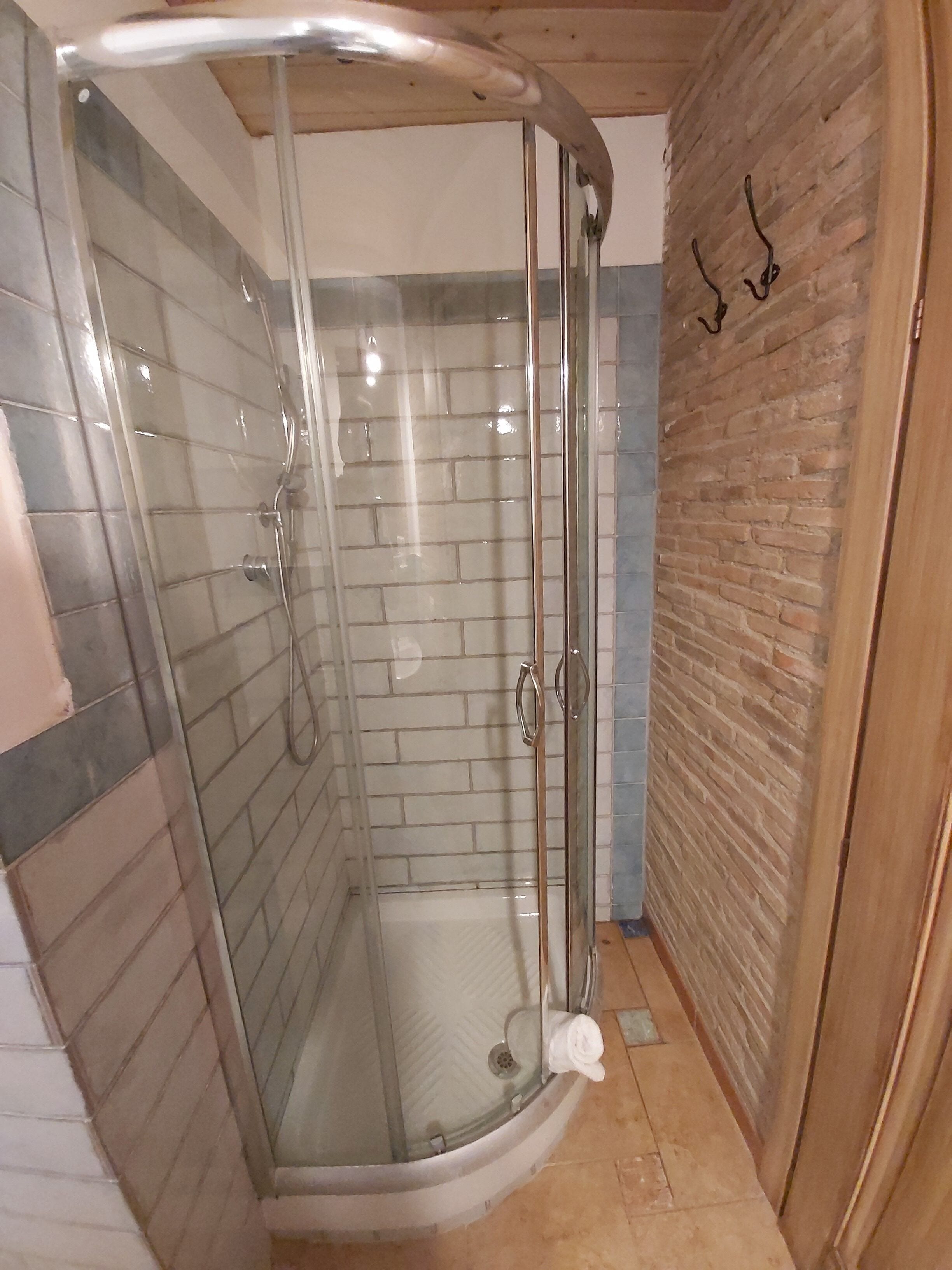 A glass-enclosed shower with a curved door, tiled walls, and a wooden ceiling.