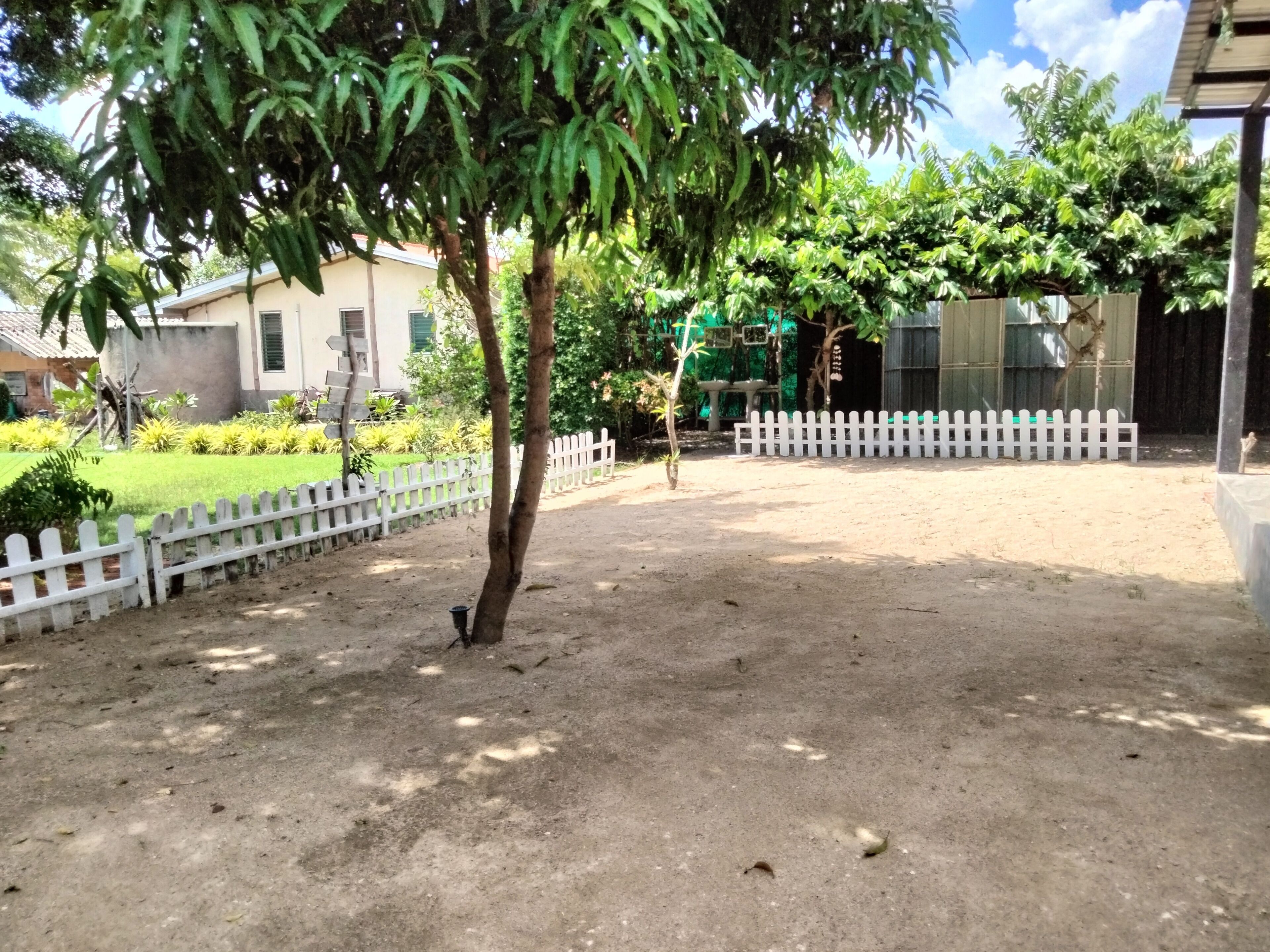 A courtyard with a white picket fence, a small tree, and a building in the background.