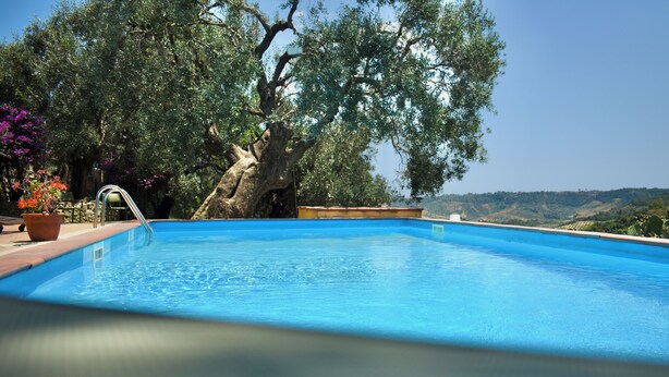 Une piscine avec un escalier en métal, entourée d’arbres et offrant une vue sur des collines.