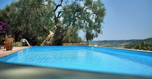 Ein Pool mit einer Metallleiter, umgeben von Bäumen und Blick auf Hügel.