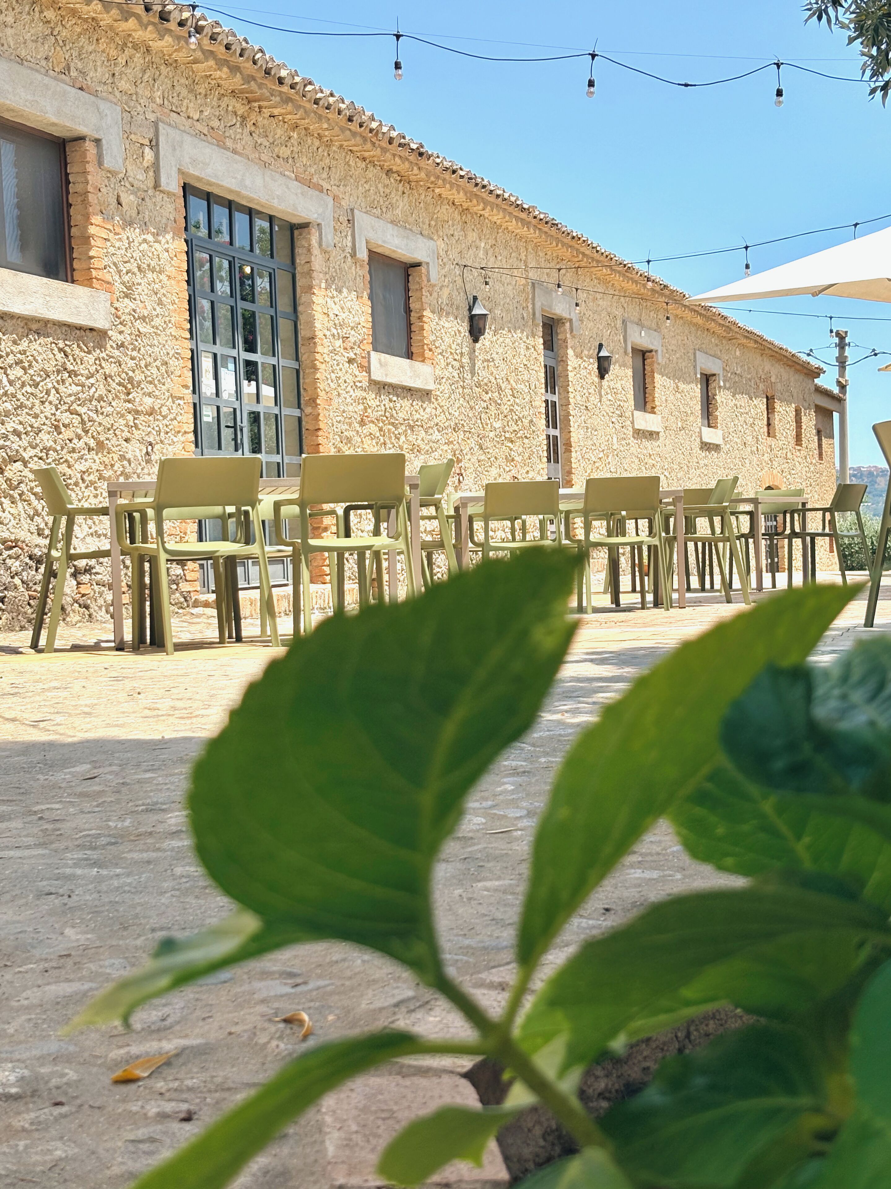 Foto - Azienda Agrituristica Le Puzelle