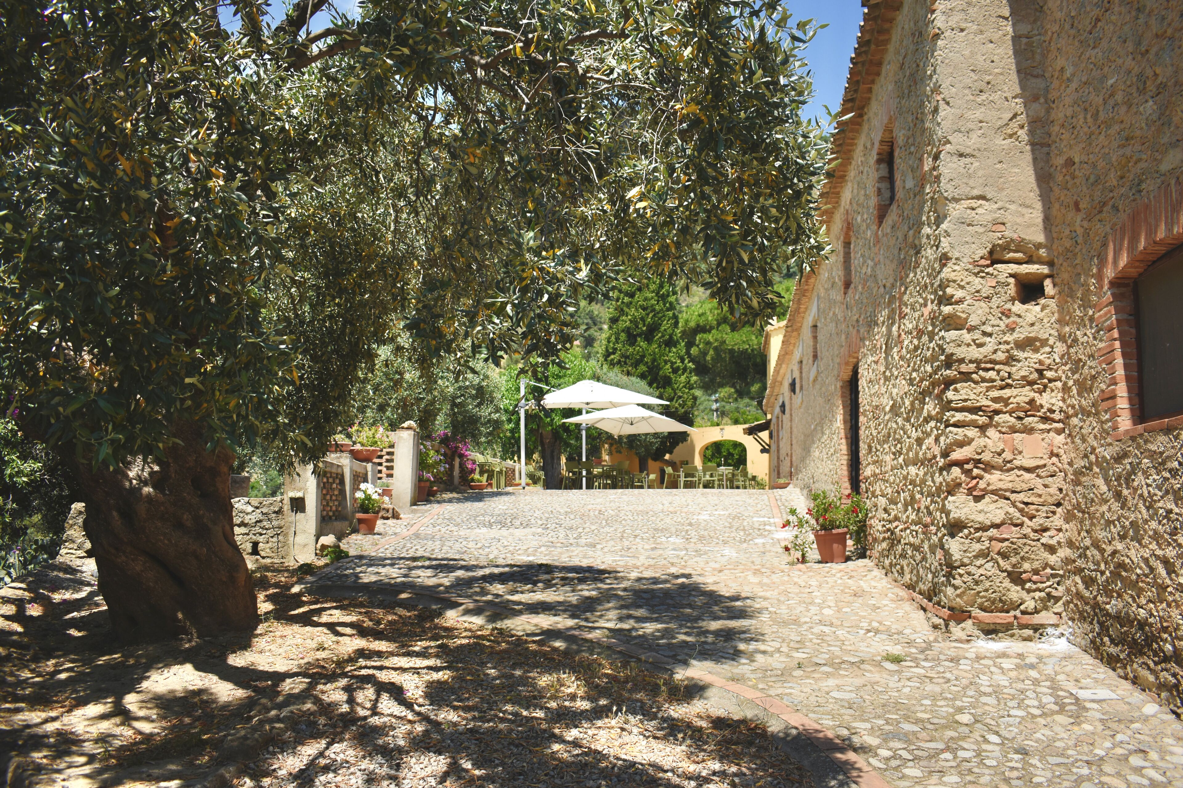 Foto - Azienda Agrituristica Le Puzelle