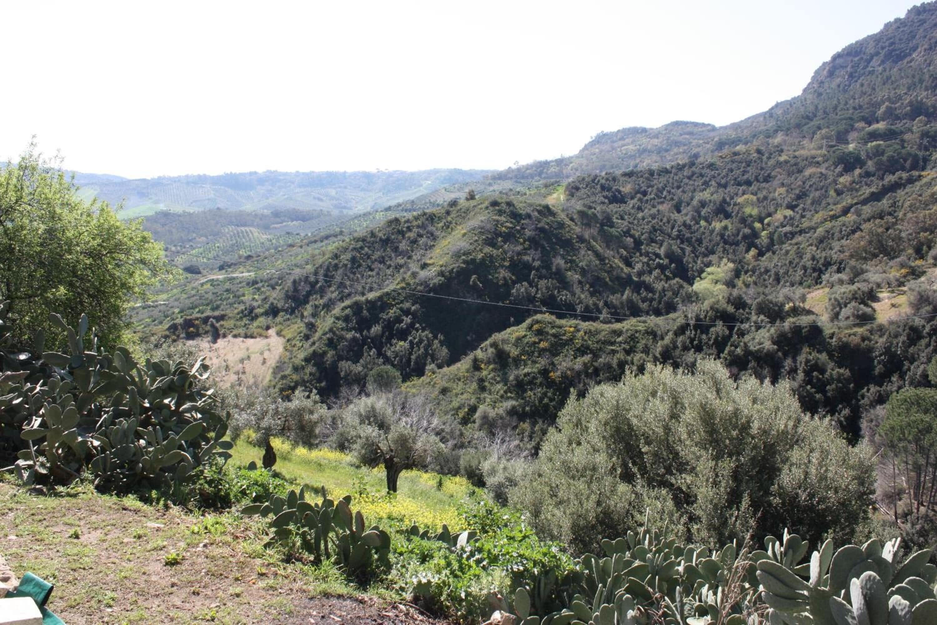 Foto - Azienda Agrituristica Le Puzelle