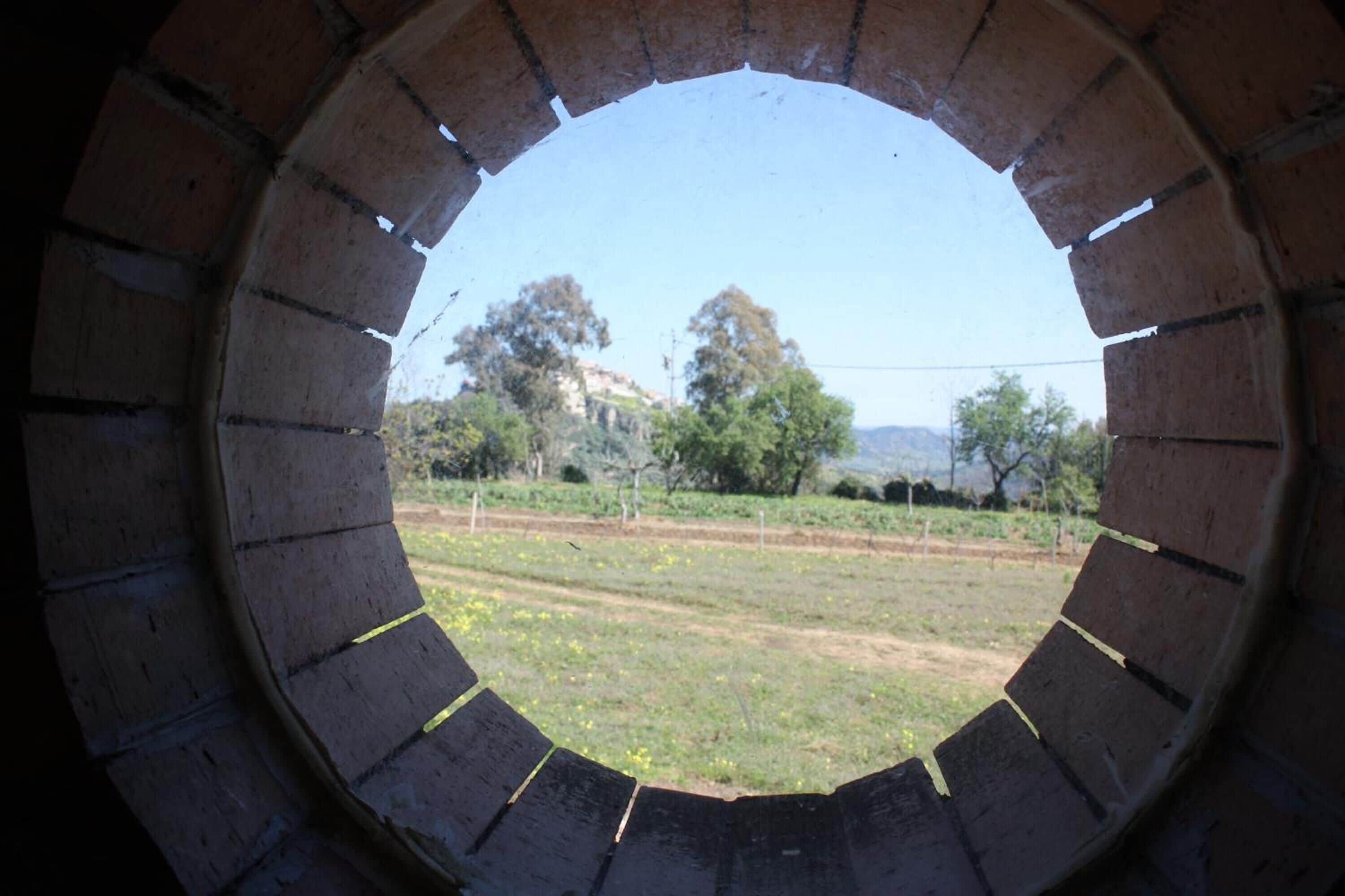 Foto - Azienda Agrituristica Le Puzelle