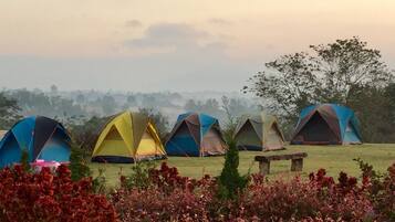 A row of colorful tents in a campsite with a grassy field and flowering plants in the foreground.
