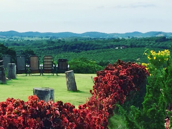 A grassy outdoor area with several chairs and a table, surrounded by lush greenery and a distant view of hills.