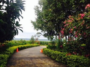 Property grounds - Khaoyai Nature Retreat (Pak Chong)