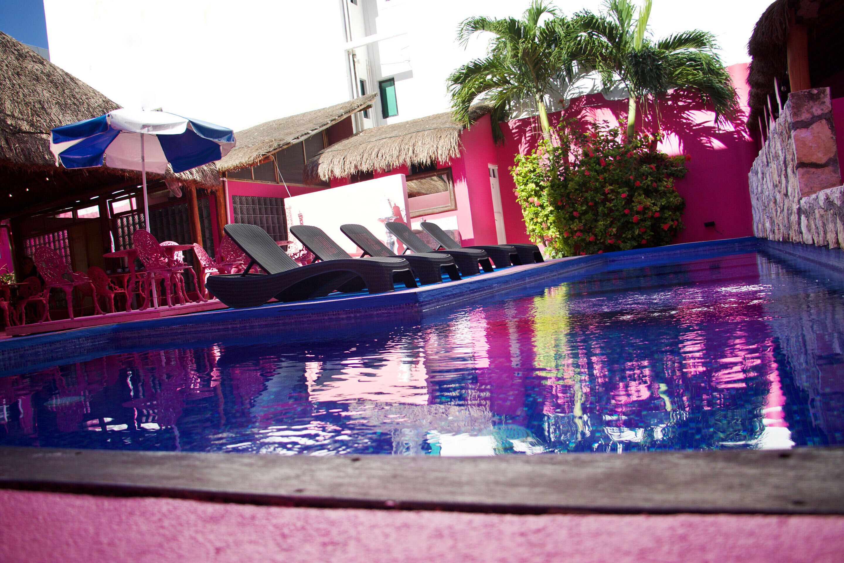 outdoor pool, pool loungers