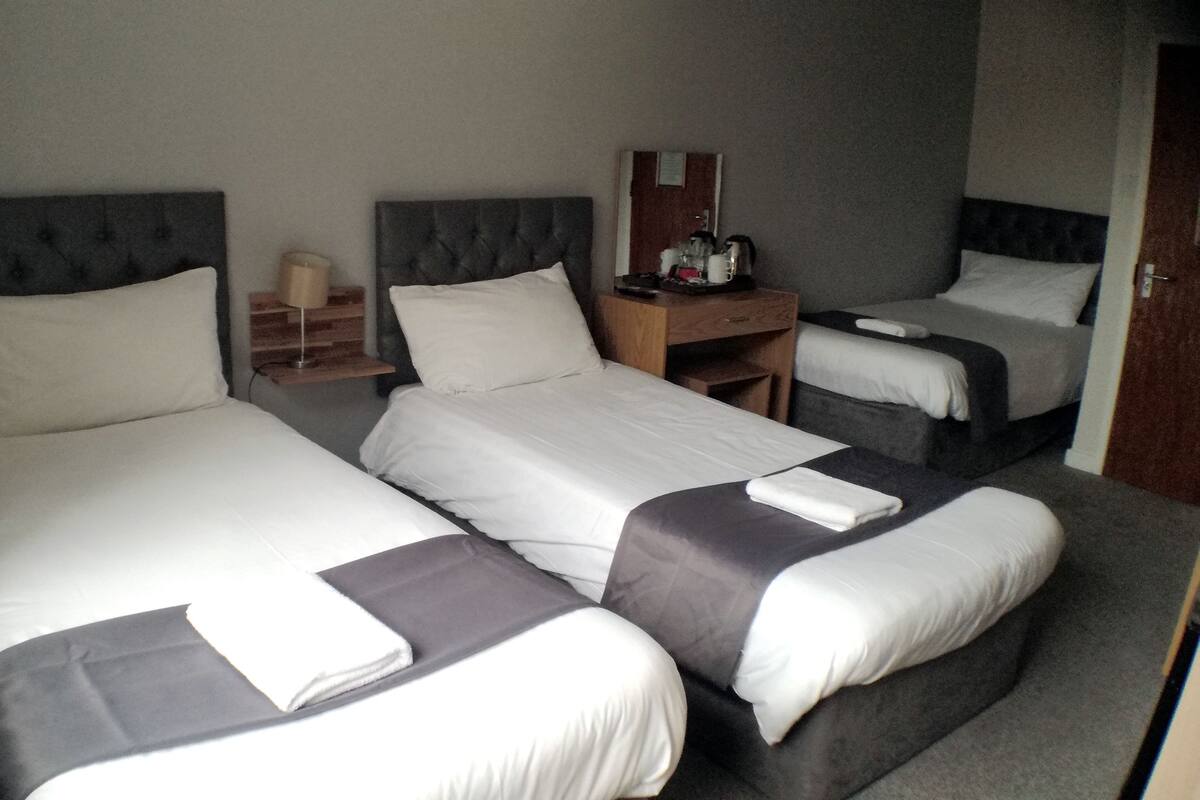 Triple Room (3 Single beds) | In-room safe, desk, iron/ironing board (on request), WiFi (free)