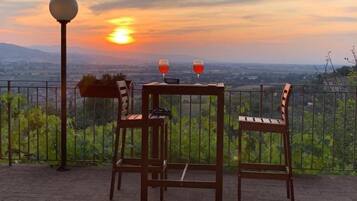 Dinner served, local cuisine, garden views