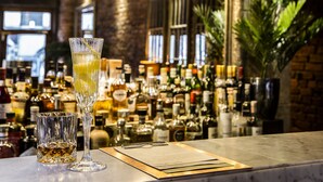 A bar area with a variety of bottles and glasses, a menu on the counter, and a large plant in the background. - The Cow Hollow Hotel (Manchester)