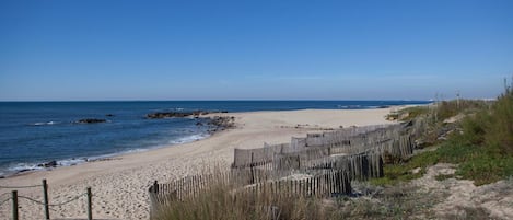 Playa