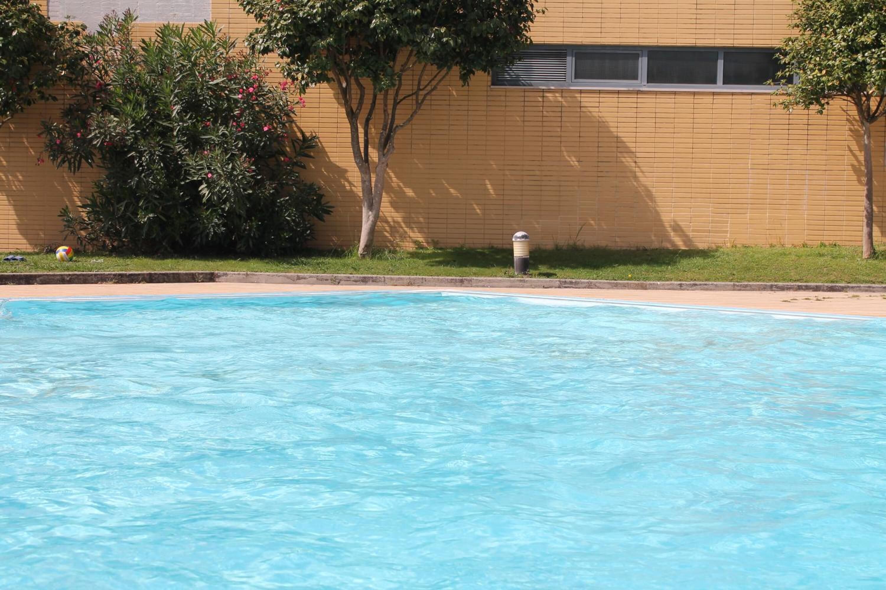 A swimming pool with clear blue water, surrounded by a brick wall and greenery.