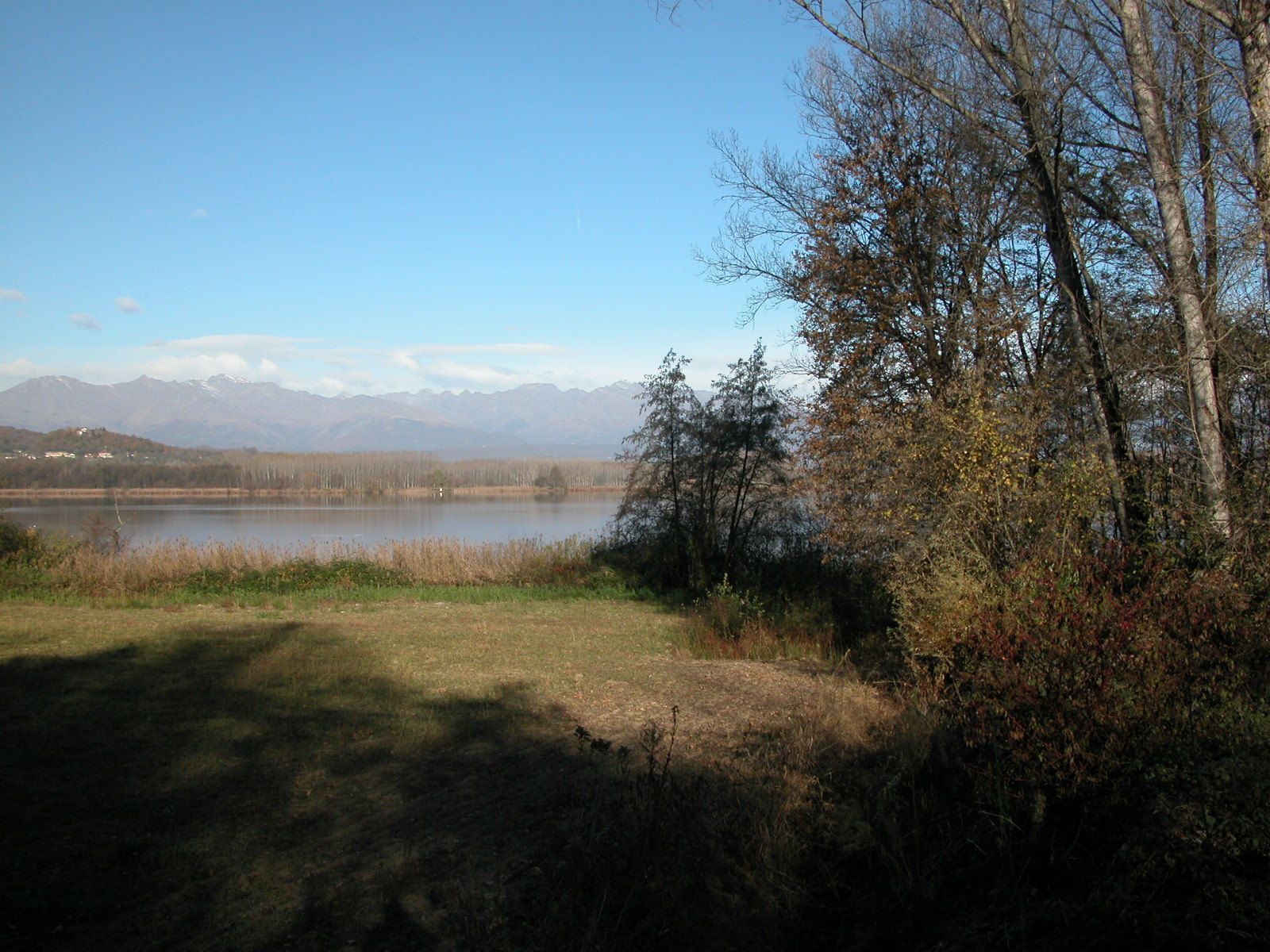 Eine natürliche Landschaft mit einem See, Bäumen und Bergen im Hintergrund.