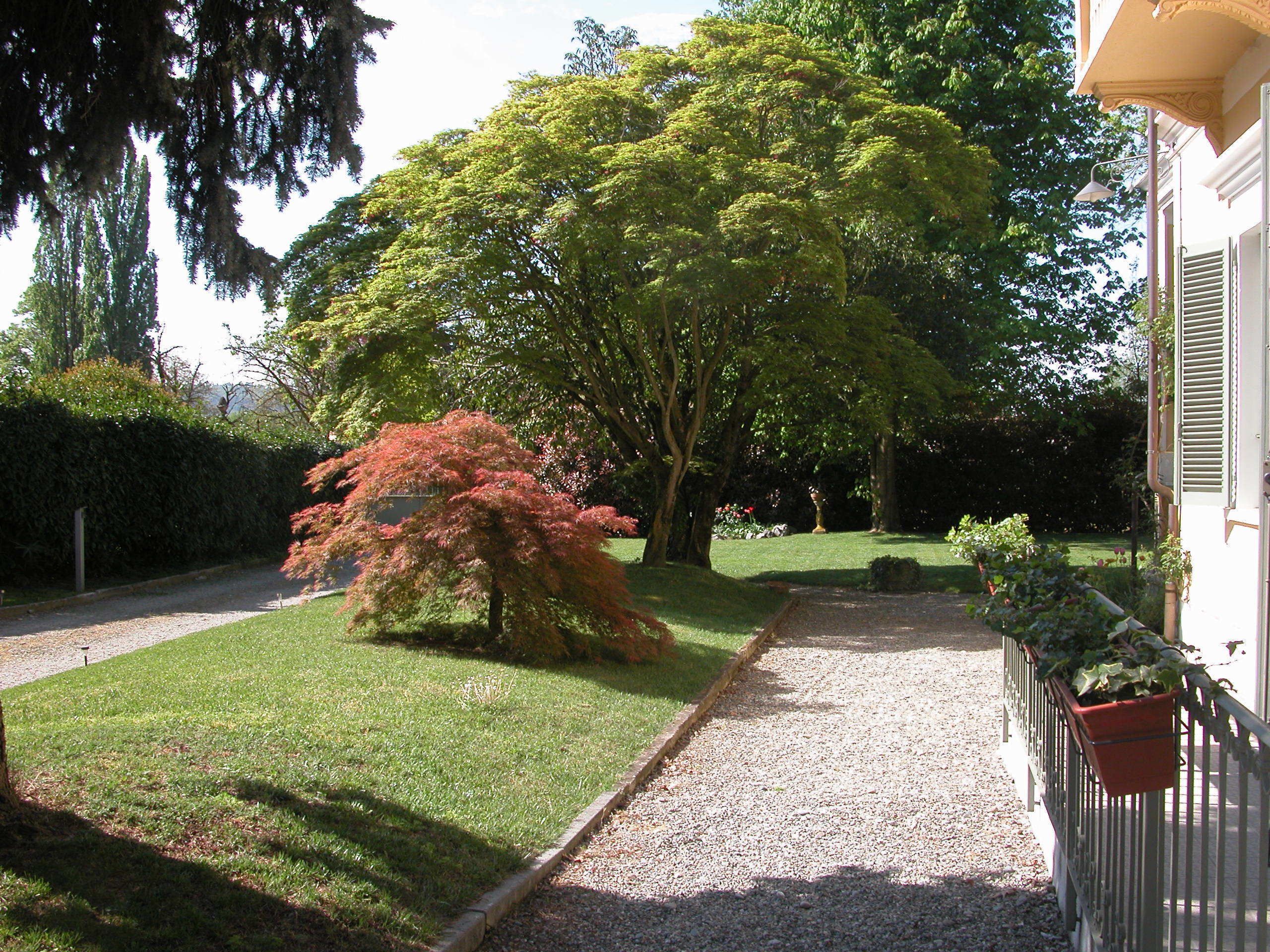 A pathway leading to a building with a well-maintained lawn and trees.
