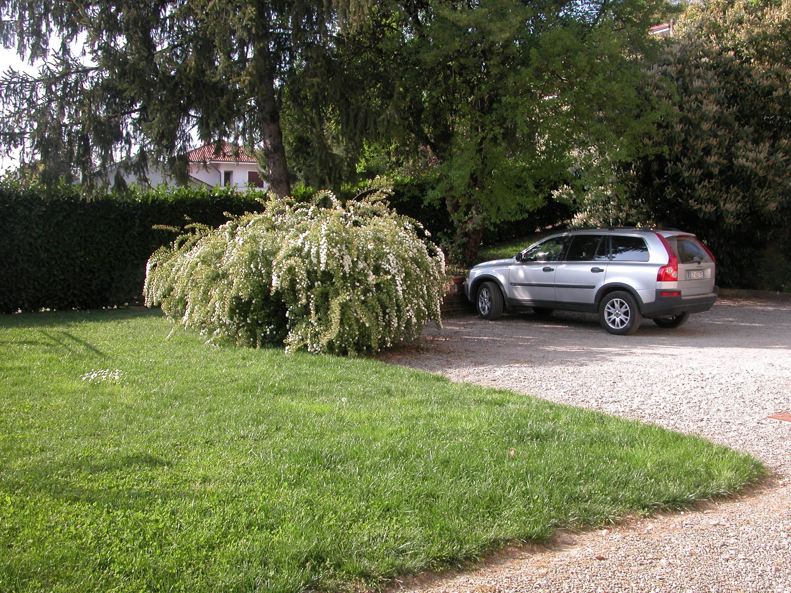 Un SUV plateado estacionado en un camino de grava en una zona residencial con un césped bien cuidado y un arbusto grande y tupido en primer plano.