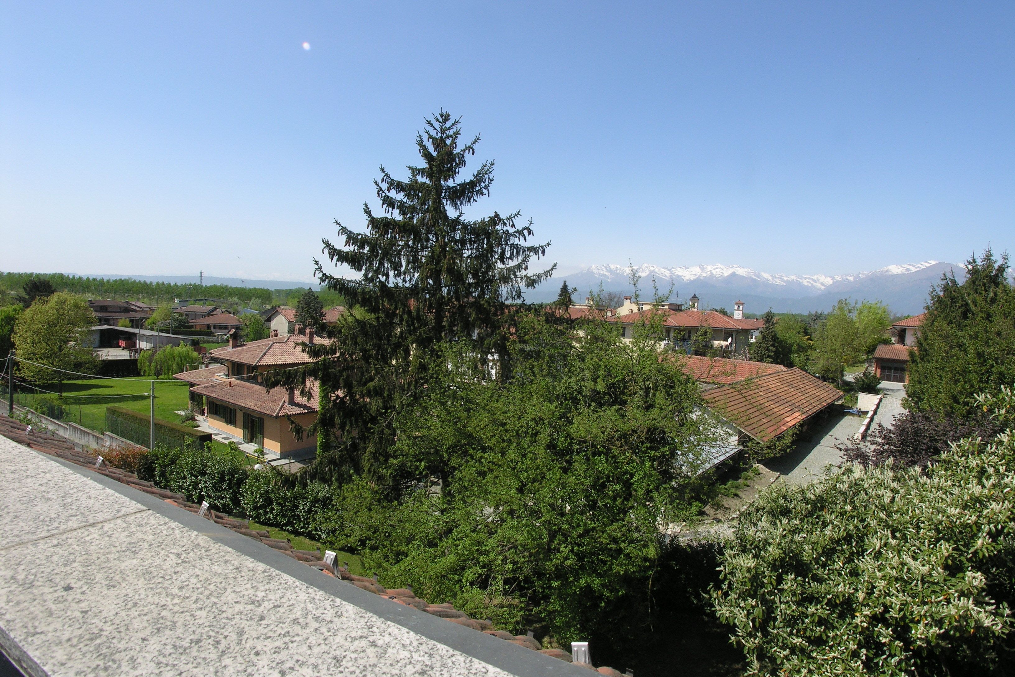 A residential area with houses, a large evergreen tree, and a mountain range in the background.