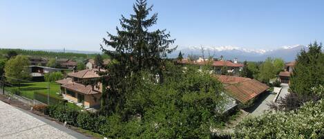 Un barrio residencial con casas, un gran árbol de hoja perenne y una cadena montañosa al fondo.