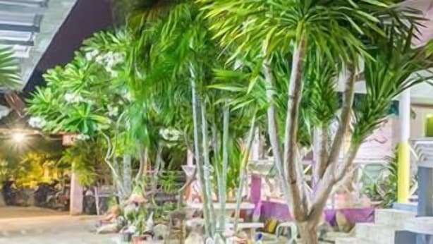 An indoor garden with various plants and a seating area. - Poopreaw Resort (Koh Lan)