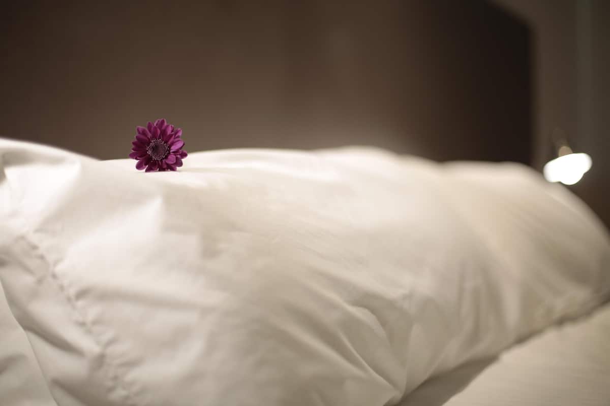 Premium bedding, down comforters, pillowtop beds, minibar