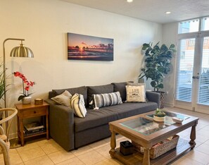 TV, DVD player, books, video library