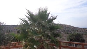 A palm tree in a desert landscape with a wooden fence in the foreground. -  exceptional holidays  (Gouvès Hersonissos Crête Grèce)
