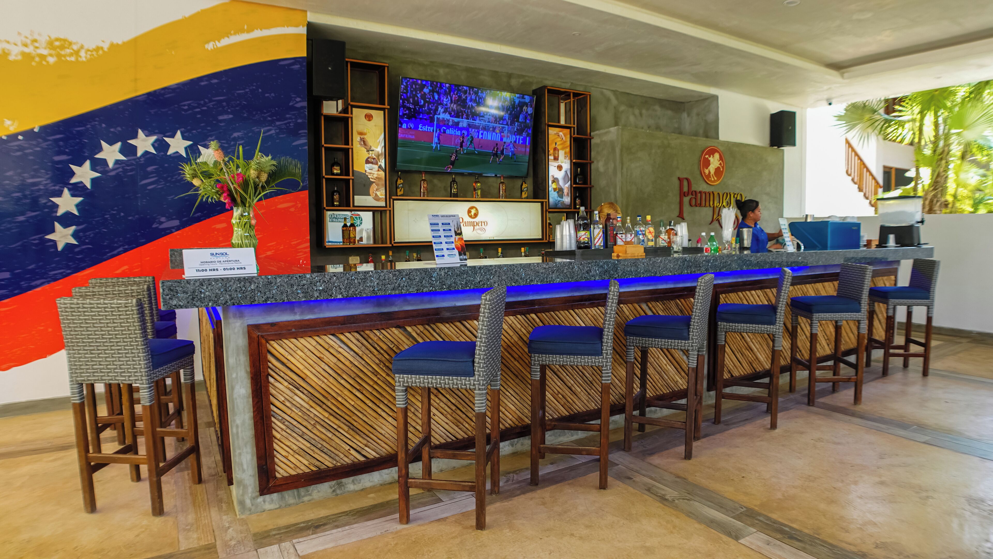 A bar area with a counter, bar stools, a television screen, and a wall with a flag and a logo.