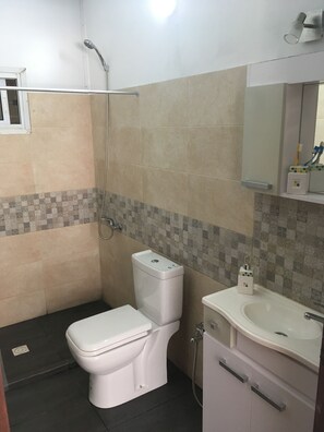 Standard House, 1 Bedroom | Bathroom | Shower, hair dryer, towels, shampoo