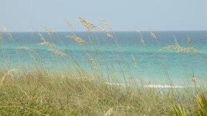 A coastal landscape with tall grasses in the foreground and a clear view of the ocean. - Crosswinds Beach House - 4BR home by 30A, bikes included! (Santa Rosa Beach)