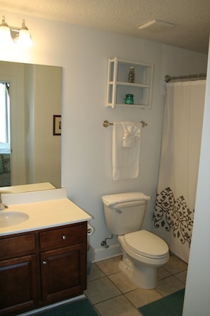 Ensemble baignoire-douche, séchoir à cheveux, serviettes fournies