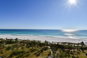 A beach view with a clear sky, palm trees, and a playground.