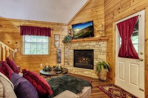 電視、壁爐、DVD 播放機