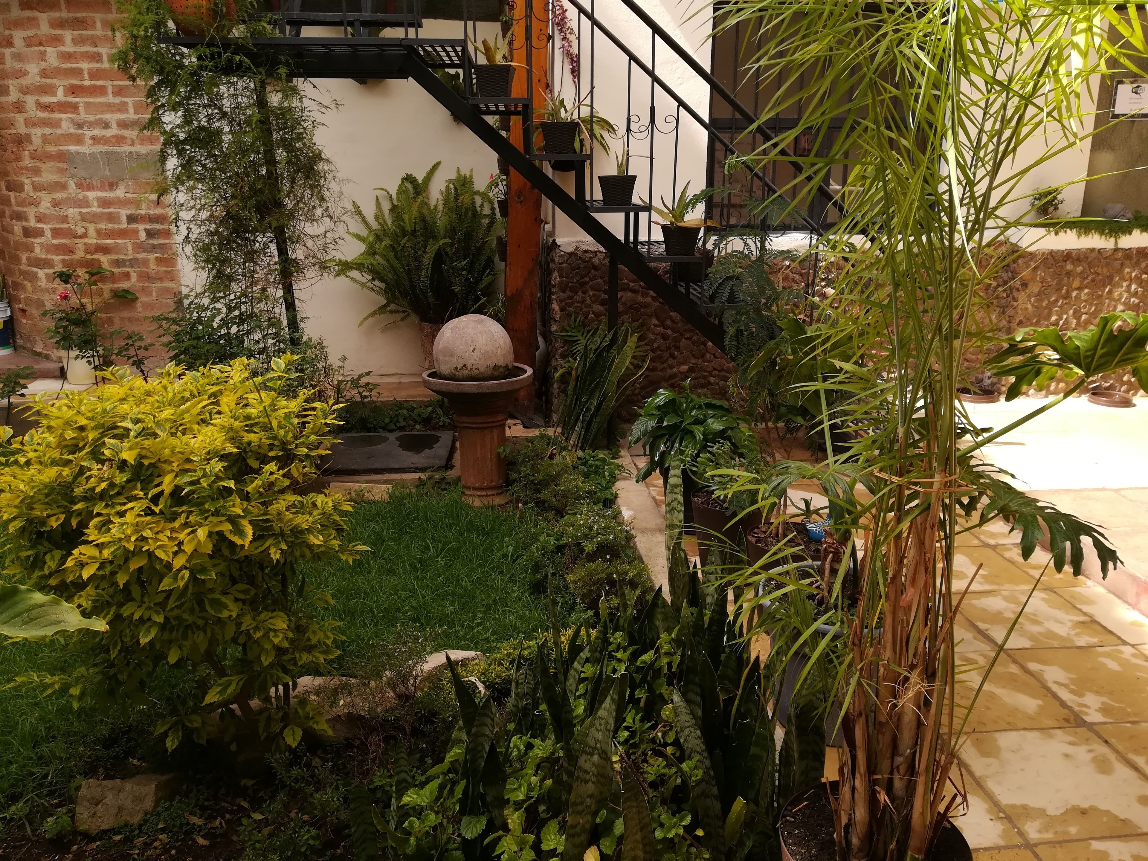 basic double room, 1 double bed | garden view