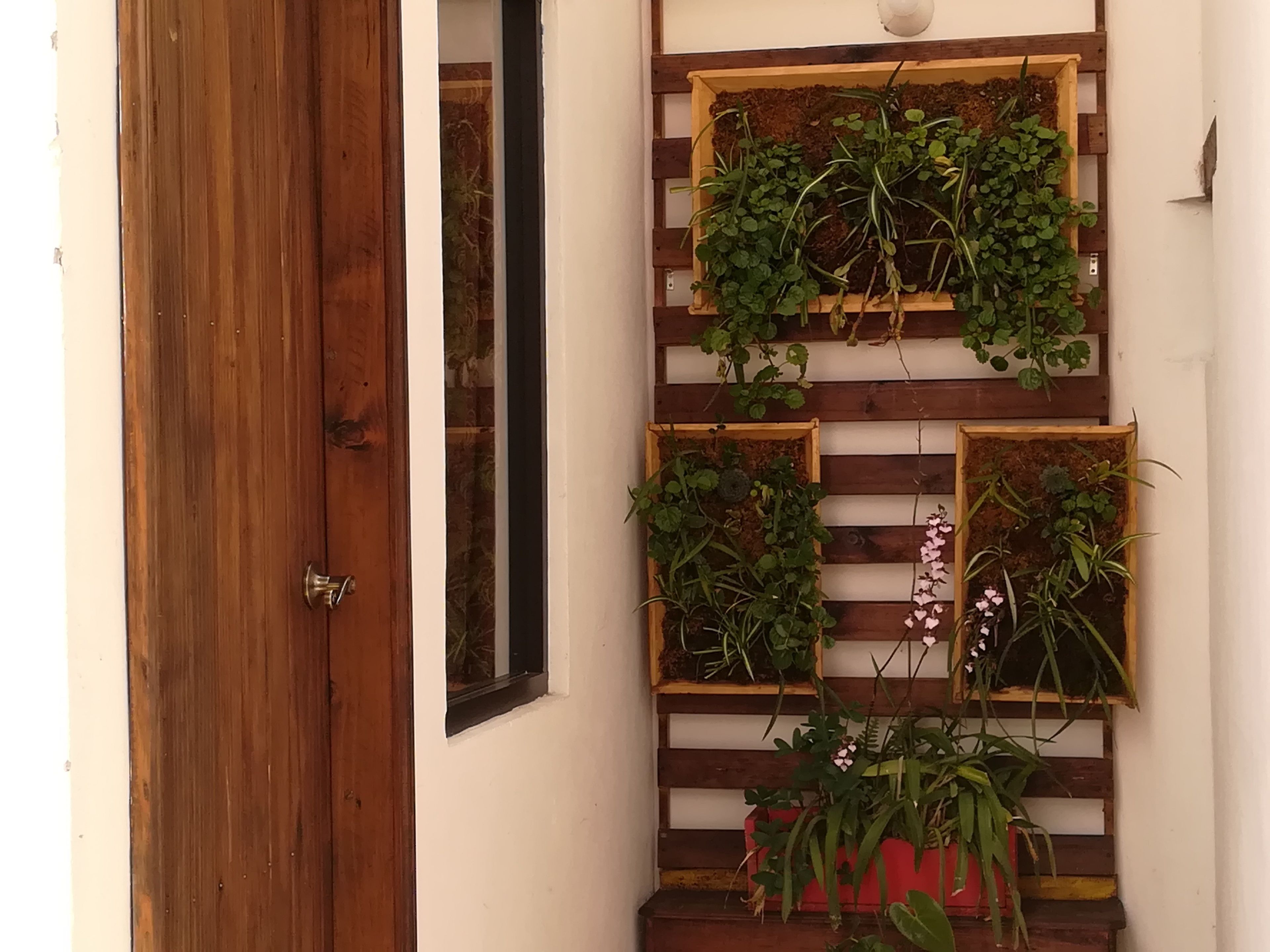 Photo - Ganesha Hotel