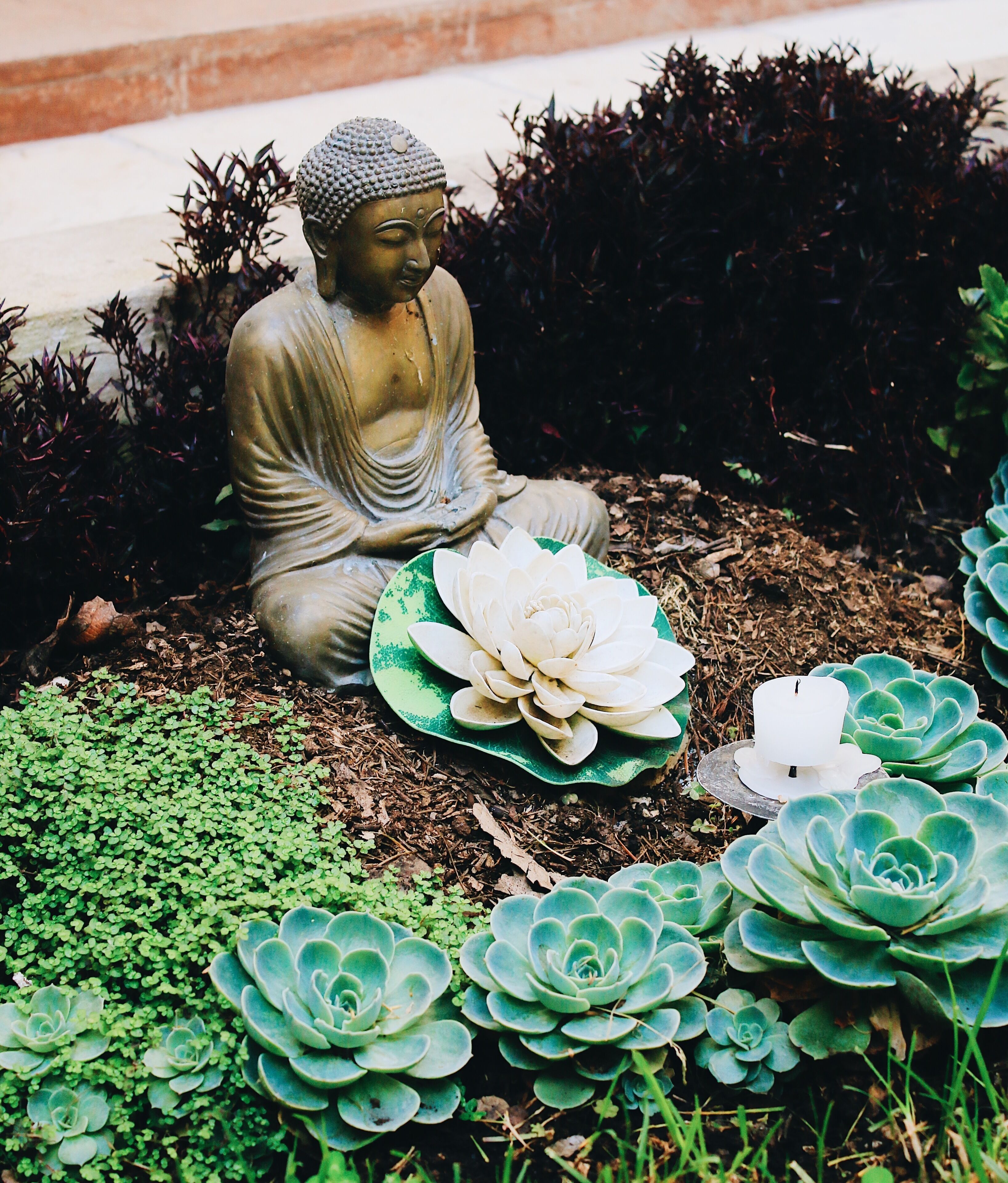Une statue de Bouddha dans un jardin agrémenté de plantes succulentes et d’une bougie blanche.