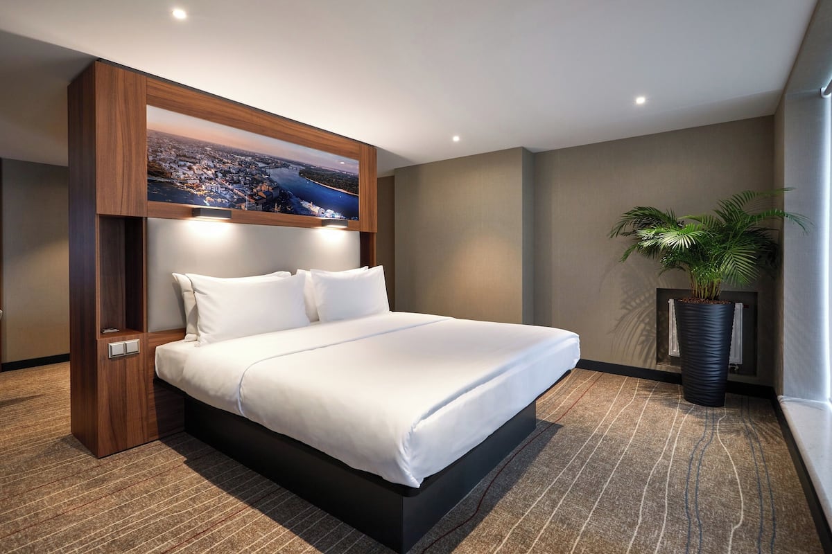 Habitación de hotel moderna con una cama grande, cabecera de madera, vistas a la ciudad, una planta en maceta y piso alfombrado.