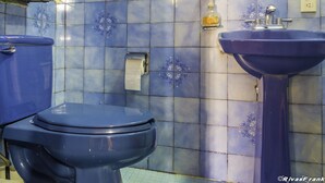 Maison mitoyenne Confort, 2 chambres | Salle de bain | Douche, articles de toilette gratuits, serviettes fournies
